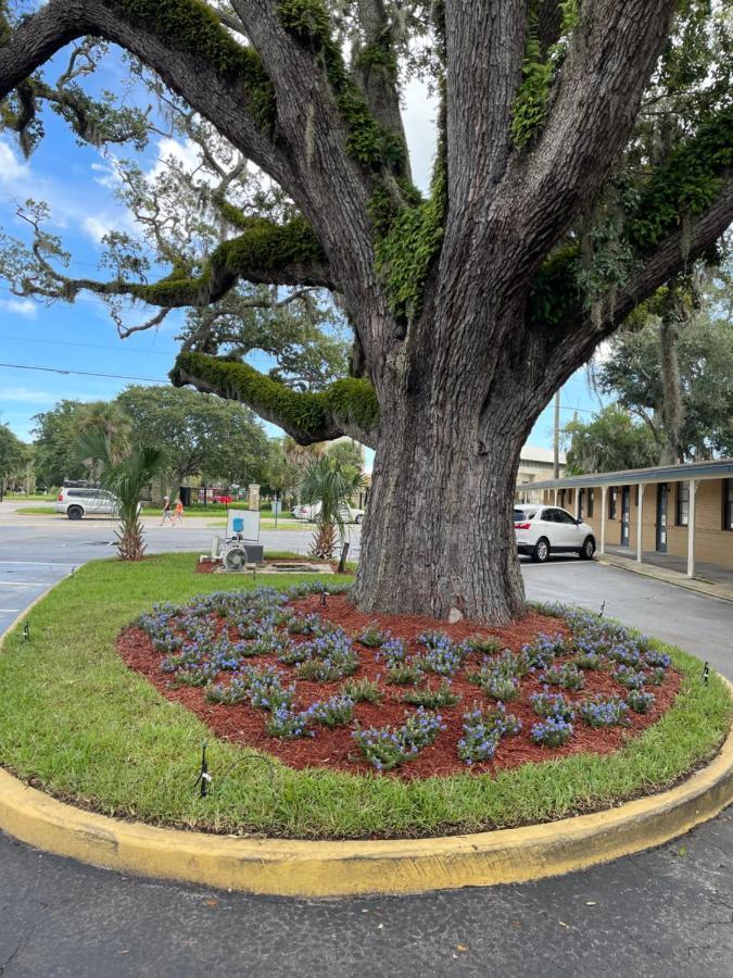 Castillo Inn St. Augustine Εξωτερικό φωτογραφία
