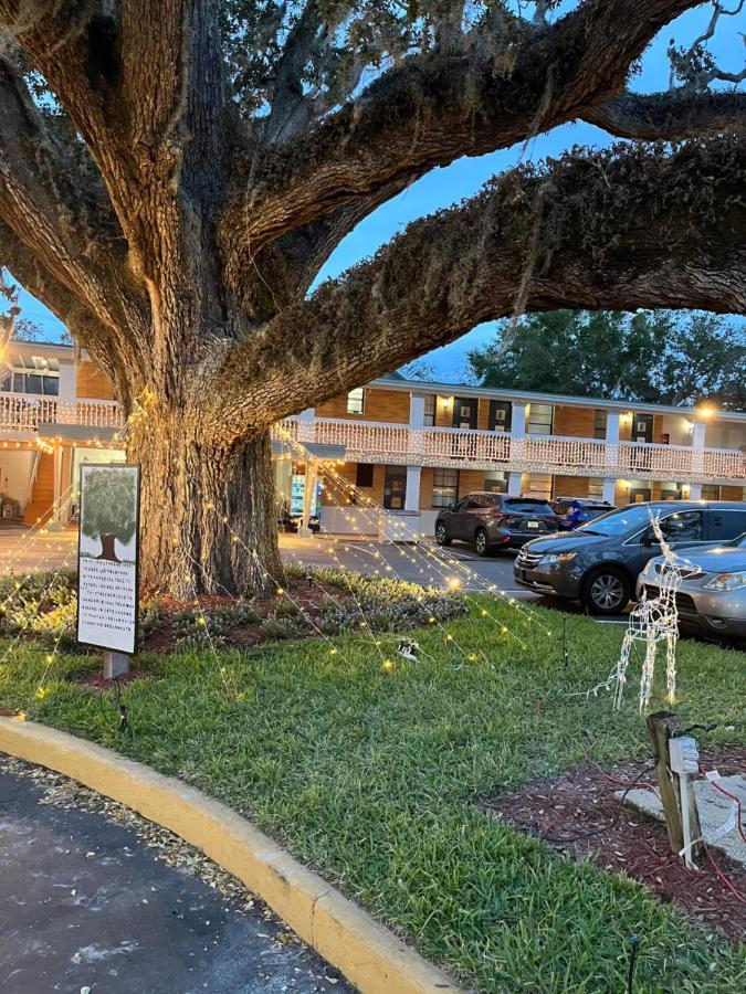 Castillo Inn St. Augustine Εξωτερικό φωτογραφία