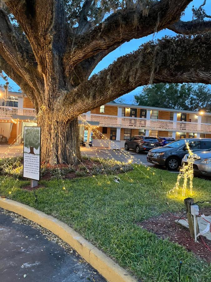 Castillo Inn St. Augustine Εξωτερικό φωτογραφία